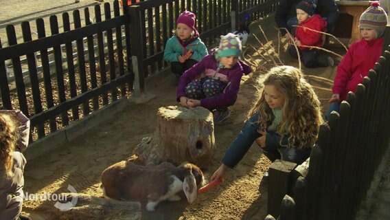 Kinder füttern Kanninchen auf einem Erlebnisbauernhof auf Rügen. © Screenshot 