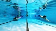 Teilnehmer an einem Schwimmkurs mit Flossen. © Screenshot 