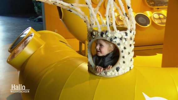 Ein Kind im Besucherzentrum Wattenmeer. © Screenshot 