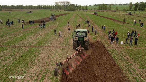 Der Pflüge-Wettbewerb in Brüsewitz aus Vogelperspektive. © Screenshot 