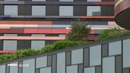 Begrünte Dächer in Wilhelmsburg. © Screenshot 