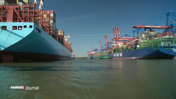 Containerschiffe im Hamburger Hafen. © Screenshot 