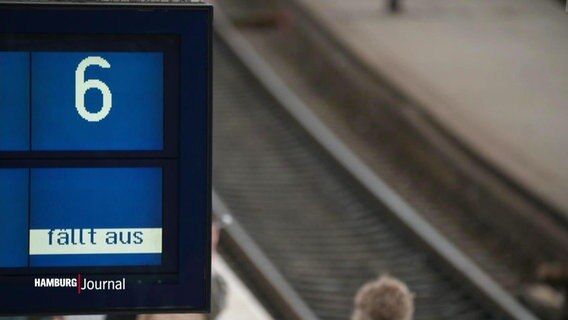 Eine Bahnanzeige mit der Aufschrift "fällt aus". © Screenshot 