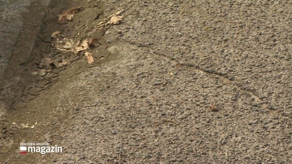 Ein Riss in der Straße. © Screenshot 