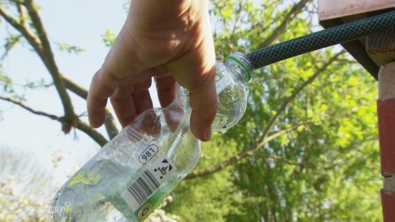 Eine Plastikflasche unterm Brunnenhahn. © Screenshot 