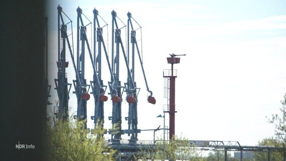Der Rostocker Hafen. © Screenshot 
