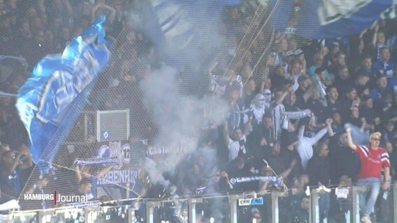 Fans des HSV im Stadion. © Screenshot 