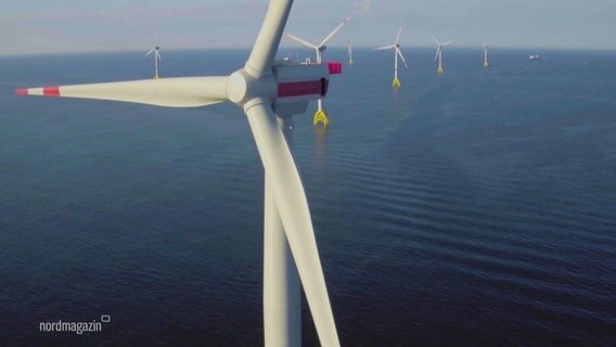 Eine Computer-Darstellung des geplanten Offshore-Windparks © Screenshot 