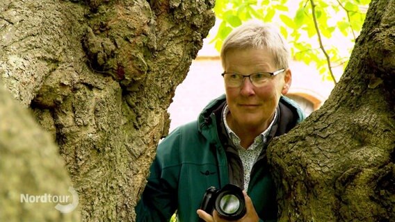 Baumflüsterin Maren Polzin steht zwischen den dicken Ästen eines alten Baumes. Sie hält eine Kamera in der Hand. © Screenshot 
