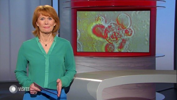 Vera Cordes moderiert Visite am 24.05.2022. © Screenshot 