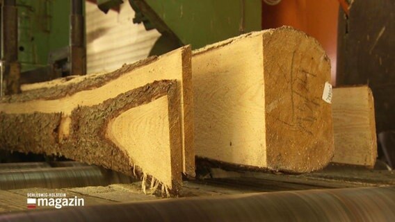 Ein Baumstam kommt zerteilt aus einer Säge. © Screenshot 