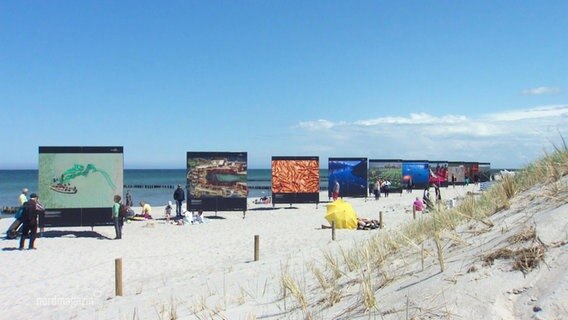 Großformatige Fotos sind an einem Strand ausgestellt. © Screenshot 