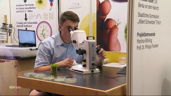 Ein junger Mann sitzt an einem Mikroskop. © Screenshot 