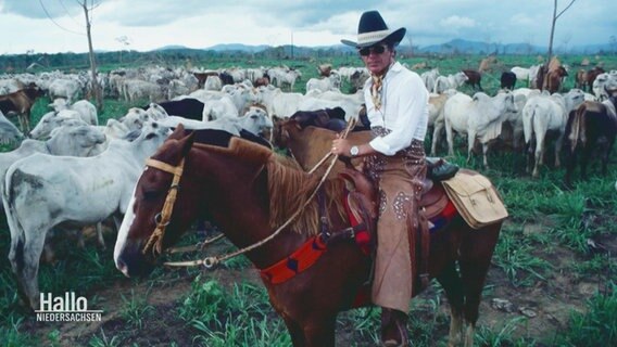 Ein Cowboy auf einer Farm mit Rindern. © Screenshot 