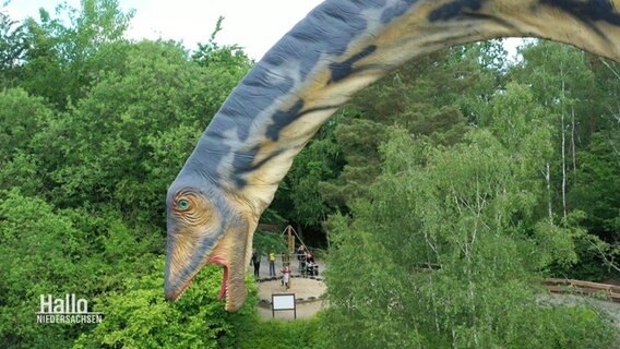 Der Kopf eines Dinosauriers im Dino-Park Münchehagen. © Screenshot 