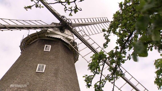 Eine Windmühle © Screenshot 