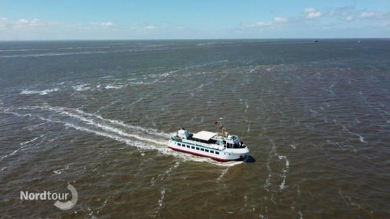 Das Schiff "Wega 3" auf dem Wattenmeer. © Screenshot 