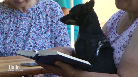 Ein kleiner schwarzer Hund sitzt auf dem Schoß von seiner Besitzerin, die eine Bibel in den Händen hält. © Screenshot 