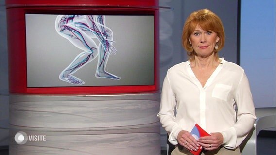 Vera Cordes moderiert Visite. © Screenshot 