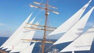 Segelschiff „Sea Cloud“ © Screenshot 