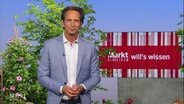 Jo Hiller moderiert Markt. © Screenshot 