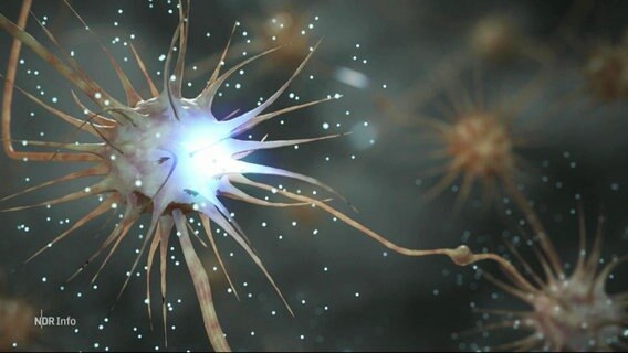 Ein leuchtendes Neuron. © Screenshot 