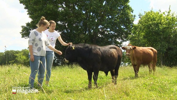 Zwei Frauen mit zwei jungen Bullen auf der Weide, sie kraulen dem schwarzen Bullen den Kopf. © Screenshot 