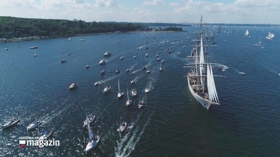 Blick auf zahlreiche Boote und Segelschiffe aus der Vogelperspektive, die durch die Kieler Förde fahren. © Screenshot 
