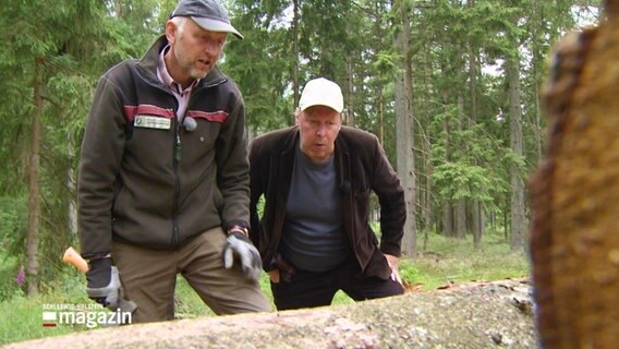 Förster Jens-Birger Bosse (li.) erklärt Oli Krahe die Situation des Waldes. © Screenshot 