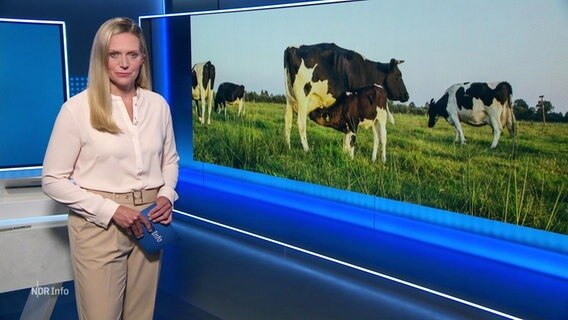 Juliane Möcklinghoff moderiert NDR Info 16:00 Uhr. © Screenshot 