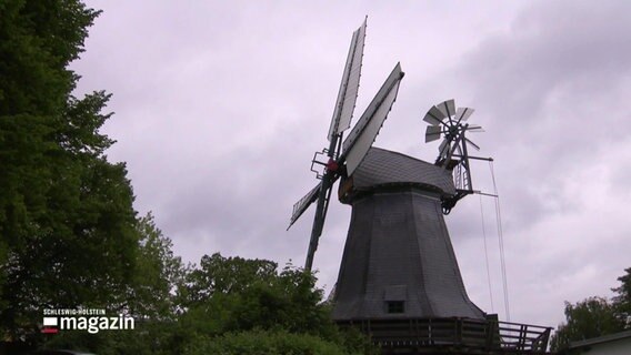 Eine historische Mühle in Flensburg. © Screenshot 