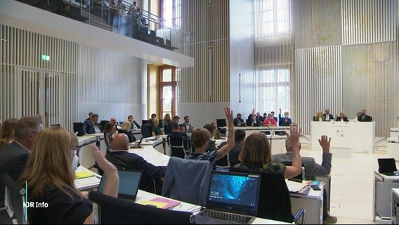 Eine Abstimmung im Landtag Mecklenburg-Vorpommern. © Screenshot 