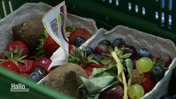 In einem Korb für Lebensmittel stehen zwei Pappschalen mit verschiedenen Beeren und Früchten. © Screenshot 
