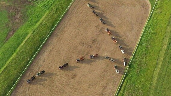 Aus der Luft sind viele Pferdekutschen in Formationsfahrt zu sehen © Screenshot 