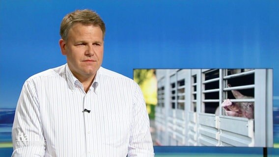Herr Stark, Vetreter der Interessengemeinschaft der Schweinehalter, zu Gast im Studio. © Screenshot 
