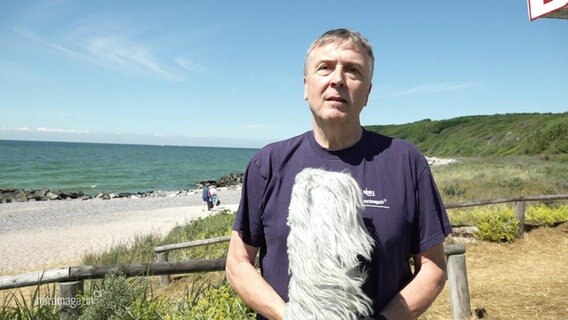 Der Wetterexperte des Nordmagazins, im Hintergrund ein Strand. © Screenshot 