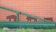An einer Backsteinwand eines Hauses sind Silhouetten von Schweinen angebracht. © Screenshot 