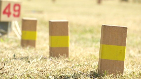 Auf einer Rasenfläche stehen mehrere Holzklötze mit einer gelben Markierung in einer Linie. © Screenshot 