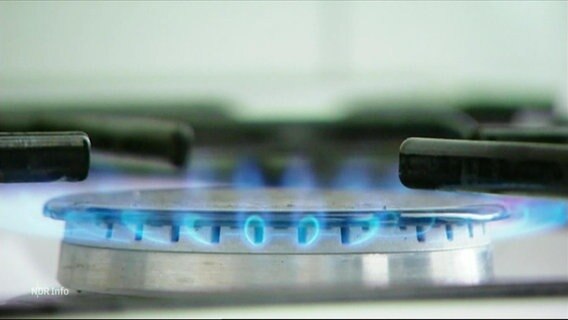 Die blaue Kochflamme eines Gasherdes. © Screenshot 