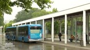 Ein Linienbus an einer Haltestelle. © Screenshot 