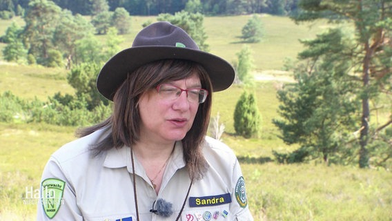 Rangerin Sandra Malissa berichtet über ihre Tätigkeit im Büsenbachtal. © Screenshot 