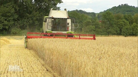 Ein Mähdrescher fährt auf einem Feld. © Screenshot 