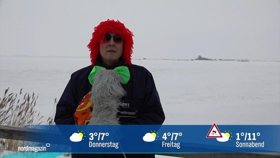 Uwe Ulbrich berichtet das Wetter während er ein Clowns-Kostüm und Sonnenbrille trägt. © Screenshot 