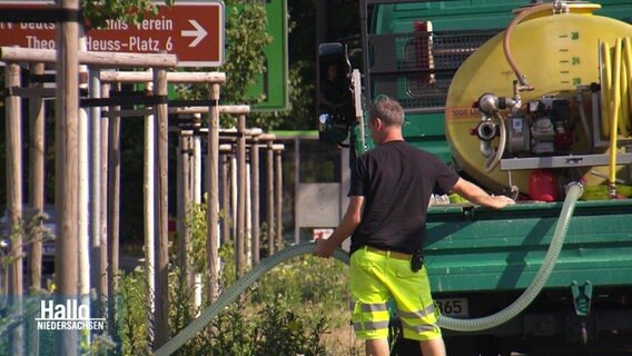 Ein Mann bewässert einen Baum in Hannover. © Screenshot 
