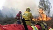 Feuerwehrleute bei einem Waldbrand. © Screenshot 