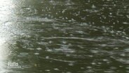 Regentropfen fallen in eine große Pfütze. © Screenshot 
