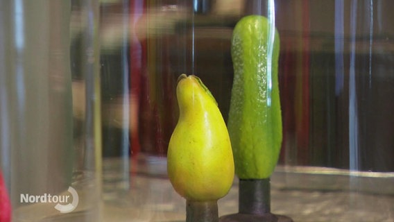 Sexspielzeug in Form einer Birne und einer Gurke. © Screenshot 