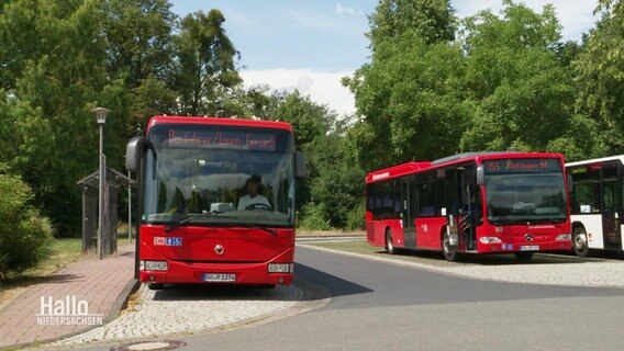 Drei Busse auf einem Parkplatz. © Screenshot 
