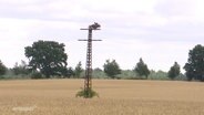Ein Strommast in Stöckersoll © Screenshot 