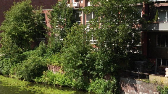 Wohngebäude am Mittelkanal in Hamburg-Hamm. © Screenshot 